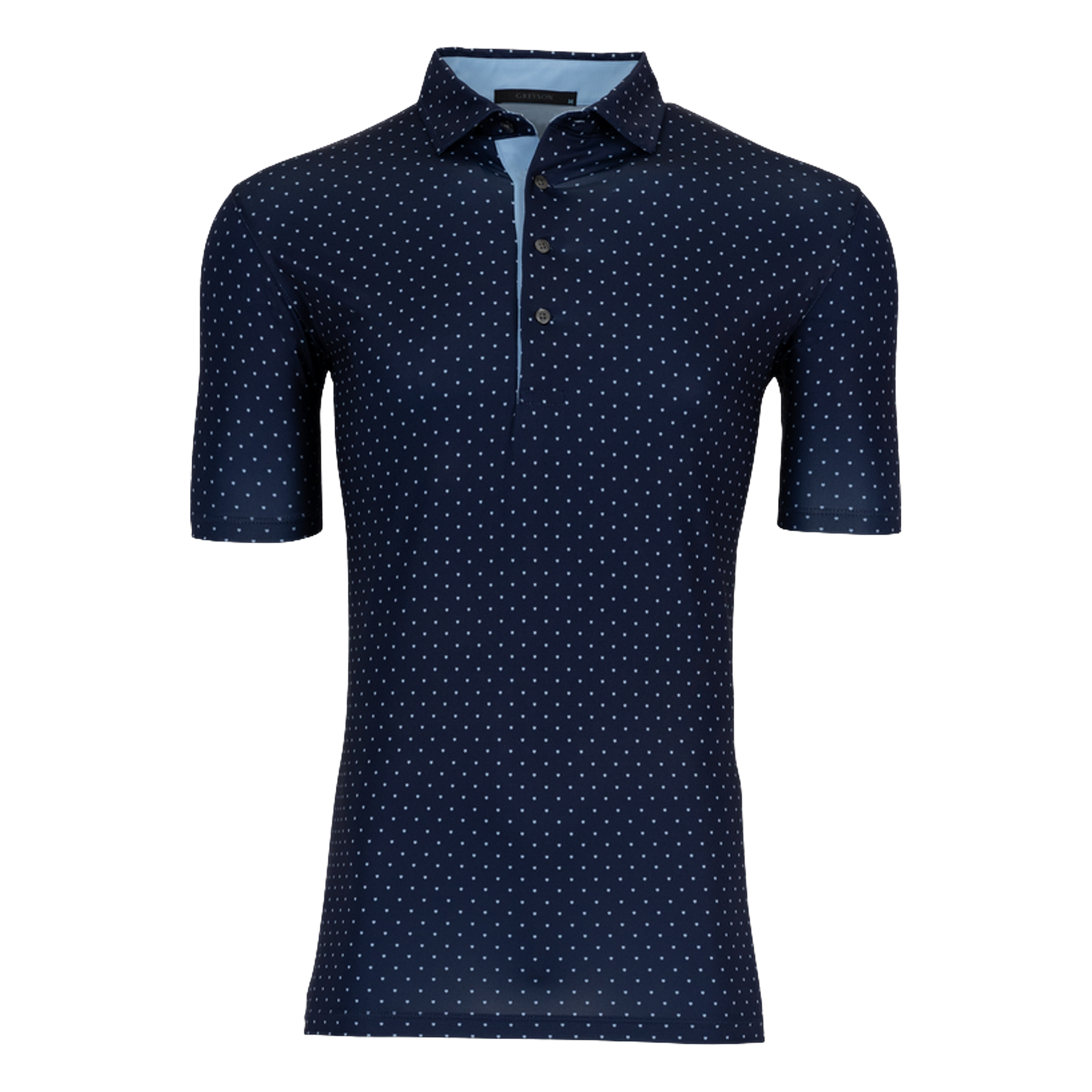 MSP24K62.MalteseBlue