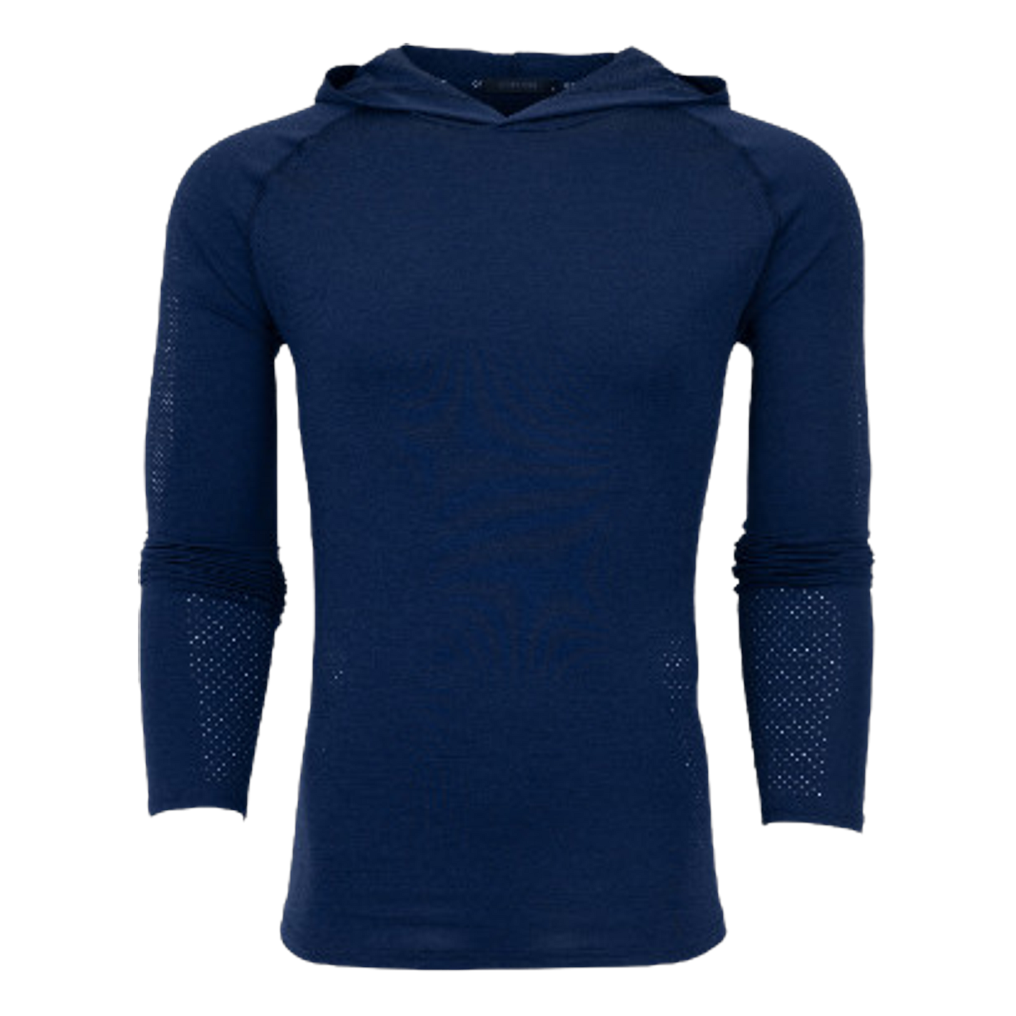 MSP25K66.MalteseBlue